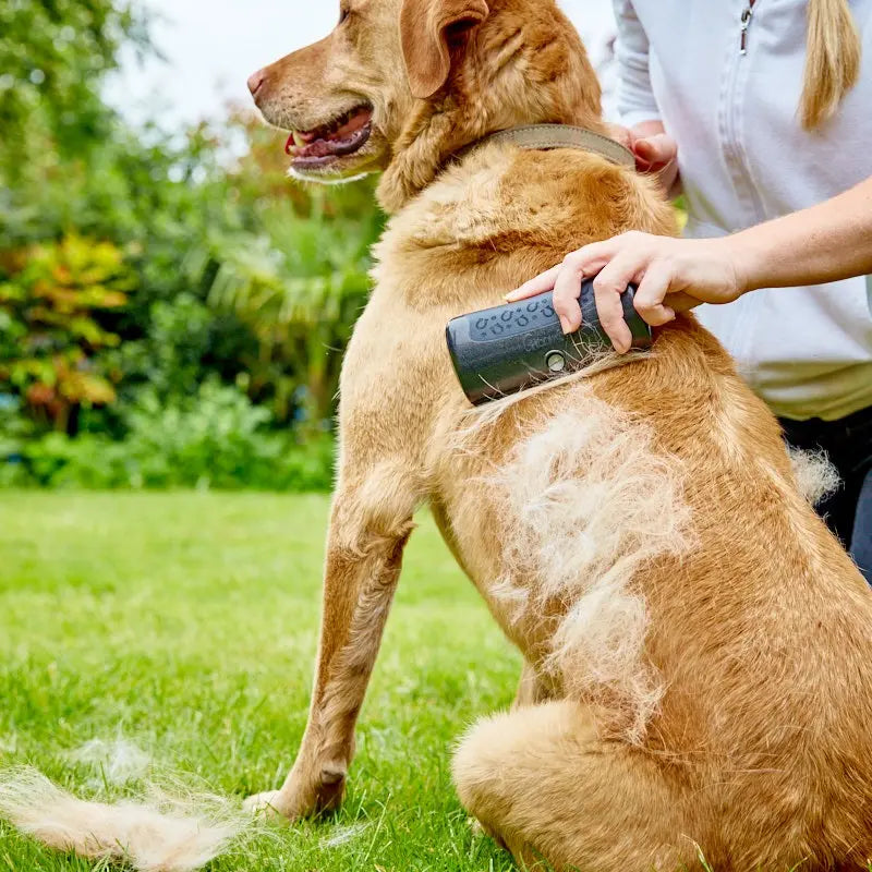 Deshedding Brush for Dogs, Cats & Horses | 95% Less Loose Hair, Gentle Grooming Tool